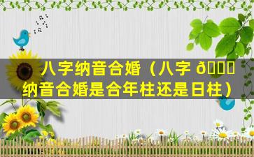 八字纳音合婚（八字 🍁 纳音合婚是合年柱还是日柱）